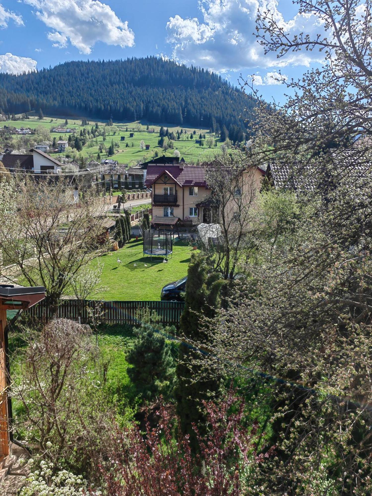 Casa Bunicilor Cu Dor De Bucovina Hotel Câmpulung Moldovenesc Exterior foto